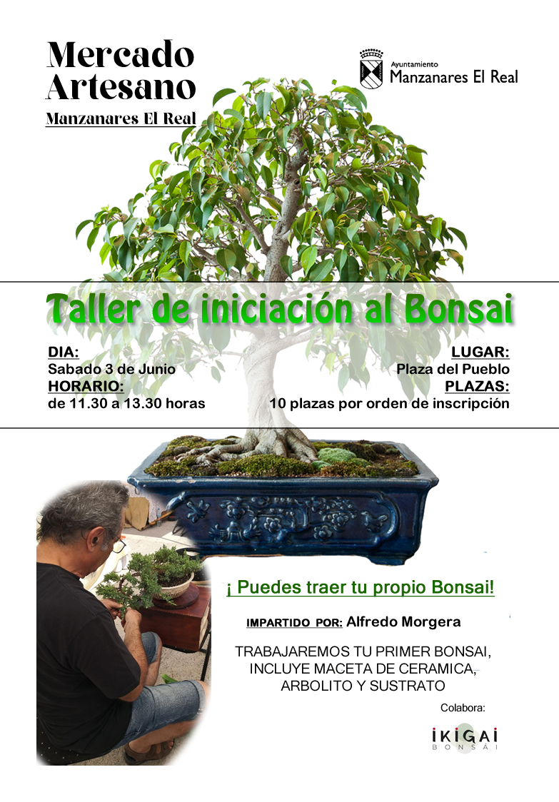 Mercado Artesano [Junio 2023]. Taller de bonsáis.