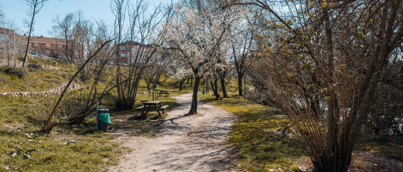 single-image